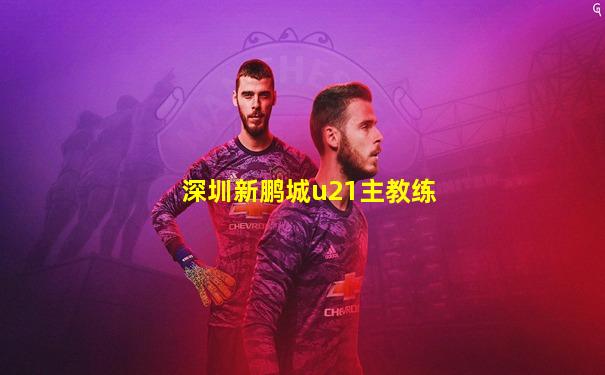 深圳新鹏城u21主教练