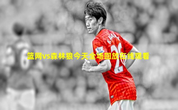 篮网vs森林狼今天全场回放在线观看