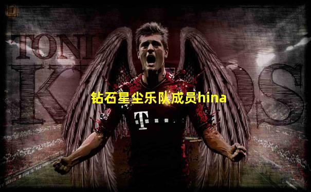 钻石星尘乐队成员hina