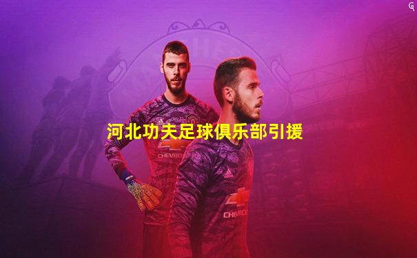 河北功夫足球俱乐部引援